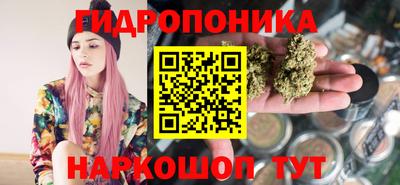 стаф Новозыбков