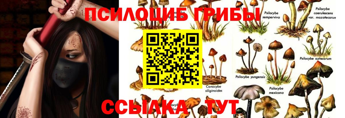 купить наркотики цена  Вход с VPN  Алексеевка  Псилоцибиновые грибы MAGIC MUSHROOMS 